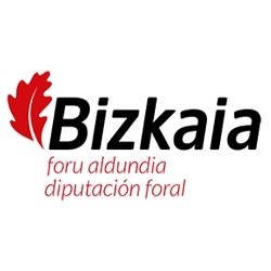 Diputaciones Forales